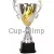Кубки наградные спортивные R1521B в интернет-магазине kubki-olimp.ru и cup-olimp.ru Фото 0