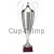 Заказать кубок с надписью R1042-N C в интернет-магазине kubki-olimp.ru и cup-olimp.ru Фото 0
