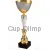 Кубок с гравировкой на заказ и cup-olimp.ru Кубок R4132 E в интернет-магазине kubki-olimp.ru и cup-olimp.ru Фото 0