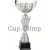 Кубок престижный R4014A в интернет-магазине kubki-olimp.ru и cup-olimp.ru Фото 0