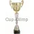 Кубок с надписью на заказ R4015D в интернет-магазине kubki-olimp.ru и cup-olimp.ru Фото 0
