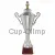 Заказать кубок с гравировкой S2174B (2) в интернет-магазине kubki-olimp.ru и cup-olimp.ru Фото 0