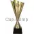 Кубок призовой R4202 C в интернет-магазине kubki-olimp.ru и cup-olimp.ru Фото 0