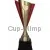 Сделать гравировку на кубке R4204A в интернет-магазине kubki-olimp.ru и cup-olimp.ru Фото 0