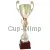 Кубок подарочный KB 1053, Цвет: золото/красный, Высота кубка, см.: 55.5, Диаметр чаши, мм.: 120