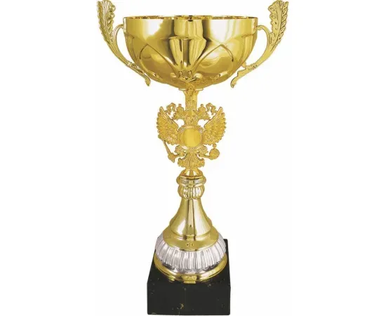 Заказать кубок с надписью 9031D (4) в интернет-магазине kubki-olimp.ru и cup-olimp.ru Фото 0