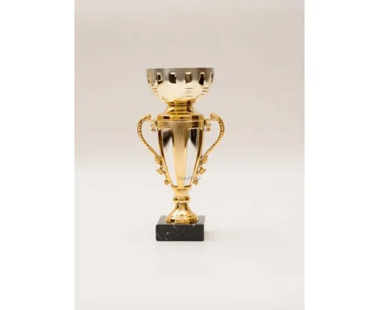 Кубок подарочный с гравировкой CS004 S B в интернет-магазине kubki-olimp.ru и cup-olimp.ru Фото 0