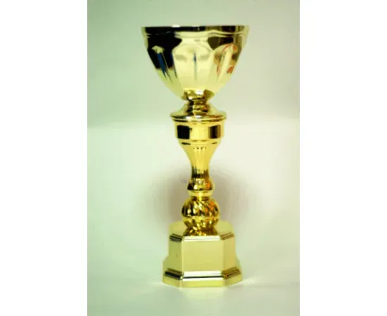 Кубок с гравировкой на заказ и cup-olimp.ru кубок AN229A в интернет-магазине kubki-olimp.ru и cup-olimp.ru Фото 0