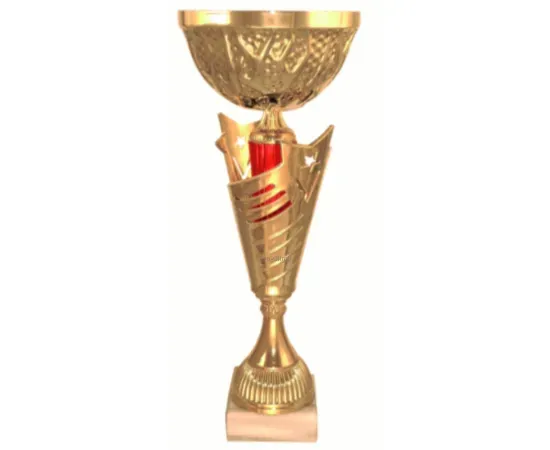 Кубок с надписью на заказ 4141D (4) в интернет-магазине kubki-olimp.ru и cup-olimp.ru Фото 0