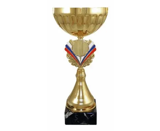 Бюджетный  Кубок 4089D (4) в интернет-магазине kubki-olimp.ru и cup-olimp.ru Фото 0