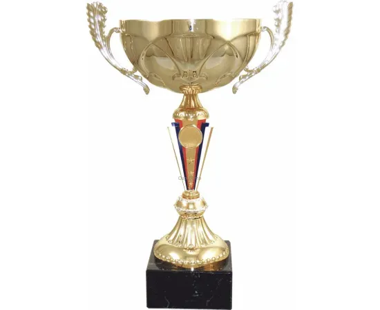 Купить наградные кубки в и cup-olimp.ru 7099E (5) в интернет-магазине kubki-olimp.ru и cup-olimp.ru Фото 0