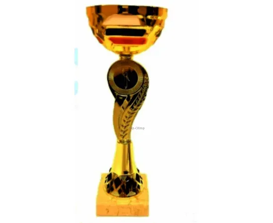 Наградной кубок с надписью RUS9A в интернет-магазине kubki-olimp.ru и cup-olimp.ru Фото 0