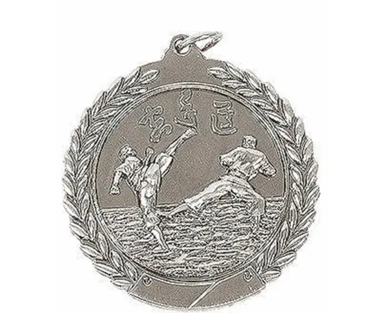 изготовление спортивных медалей каратэ MD 511S в интернет-магазине kubki-olimp.ru и cup-olimp.ru Фото 0