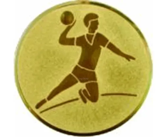 Спортивные вкладыш гандбол D2 a4 в медали на заказ в интернет-магазине kubki-olimp.ru и cup-olimp.ru Фото 0