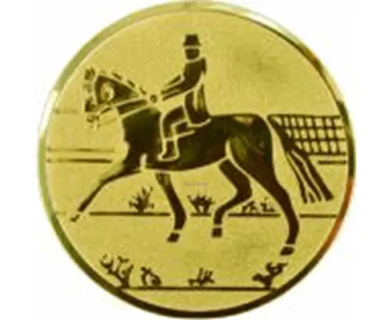 Сделать спортивную вкладыш конный спорт D2 a73 в медаль в интернет-магазине kubki-olimp.ru и cup-olimp.ru Фото 0