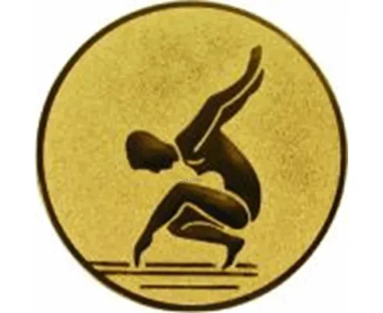 Купить вкладыш гимнастика D1 a88 в медали спортивные оптом в интернет-магазине kubki-olimp.ru и cup-olimp.ru Фото 0