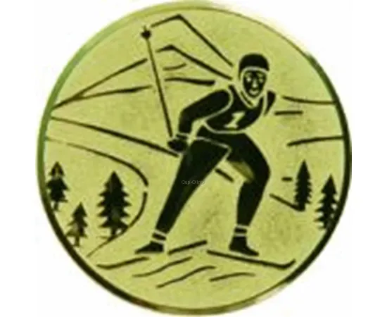 Спортивные вкладыш лыжи D2G a94 в медали в интернет-магазине kubki-olimp.ru и cup-olimp.ru Фото 0