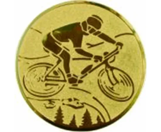 Купить вкладыш велосипедный спорт D2 a102 в медали спортивные для награждения в интернет-магазине kubki-olimp.ru и cup-olimp.ru Фото 0