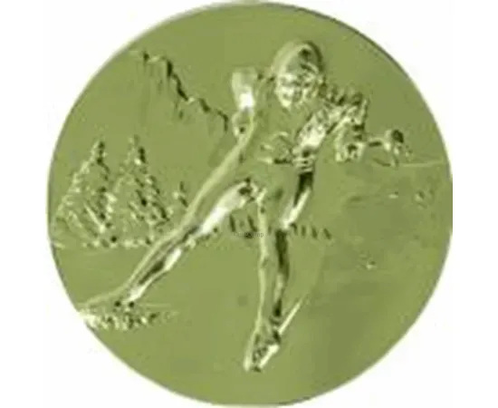 Спортивные вкладыш лыжи d10 b28 в медали и cup-olimp.ru в интернет-магазине kubki-olimp.ru и cup-olimp.ru Фото 0