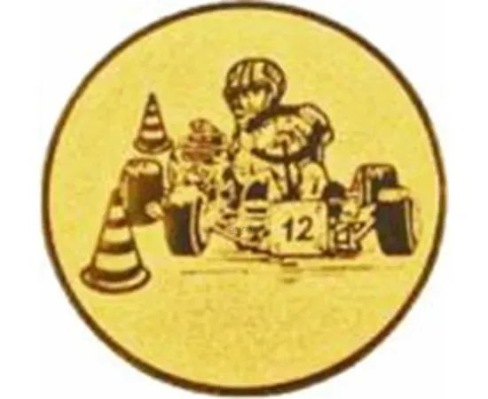 Заказать спортивные вкладыш картинг am2-119-g в медали в интернет-магазине kubki-olimp.ru и cup-olimp.ru Фото 0