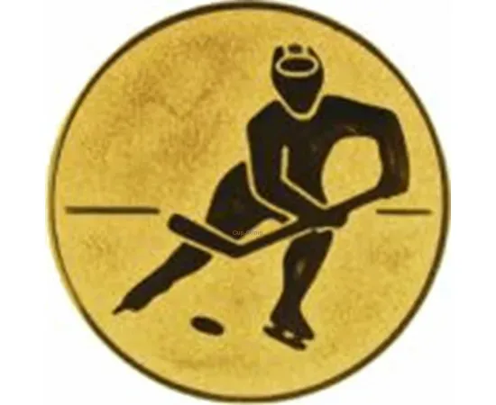 Вкладыш хоккей AM1-99-G в медаль наградная спортивная в интернет-магазине kubki-olimp.ru и cup-olimp.ru Фото 0