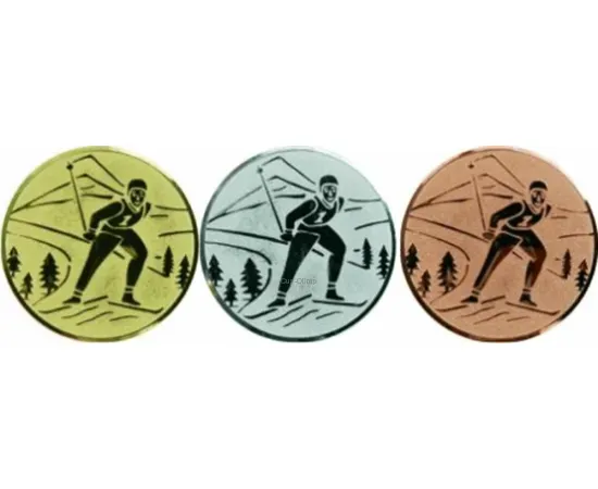 Спортивные вкладыш лыжи D1G a94 в медали в интернет-магазине kubki-olimp.ru и cup-olimp.ru Фото 2