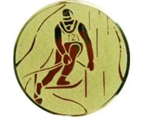 Купить вкладыш лыжи D2 a93G в медаль за спортивные достижения в интернет-магазине kubki-olimp.ru и cup-olimp.ru Фото 0
