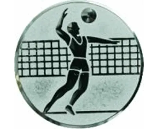 Вкладыш волейбол D1 A6/S в медали спортивные для детей в интернет-магазине kubki-olimp.ru и cup-olimp.ru Фото 0