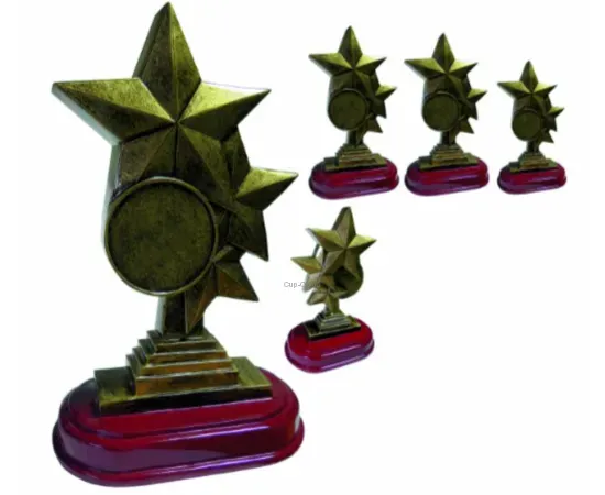Сделать гравировку на статуэтке звезда (48) в интернет-магазине kubki-olimp.ru и cup-olimp.ru Фото 0