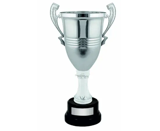 Заказать кубок с гравировкой D2289A в интернет-магазине kubki-olimp.ru и cup-olimp.ru Фото 0