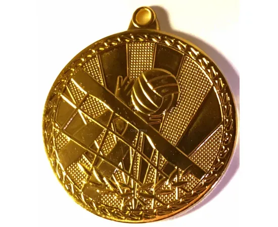 купить медали спортивные для награждения дешево волейбол MV 17G в интернет-магазине kubki-olimp.ru и cup-olimp.ru Фото 0