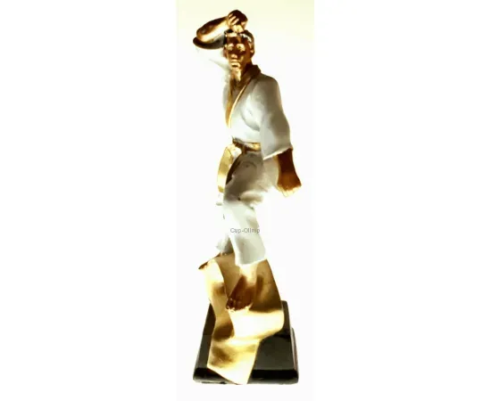 Подарочные статуэтки с гравировкой каратэ 108.23607 в интернет-магазине kubki-olimp.ru и cup-olimp.ru Фото 0