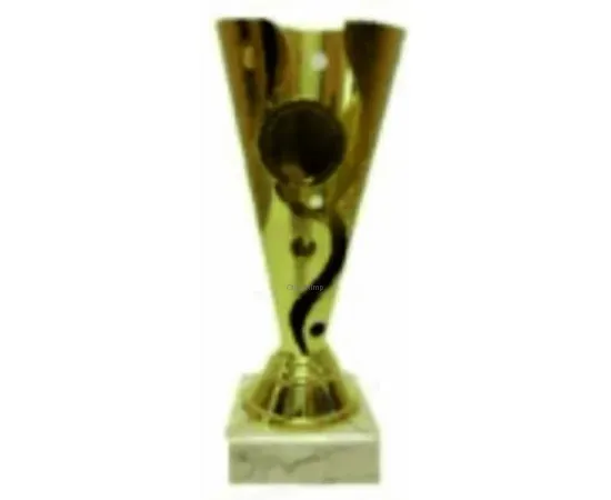 Надпись на кубке победителя соревнований P14A в интернет-магазине kubki-olimp.ru и cup-olimp.ru Фото 1