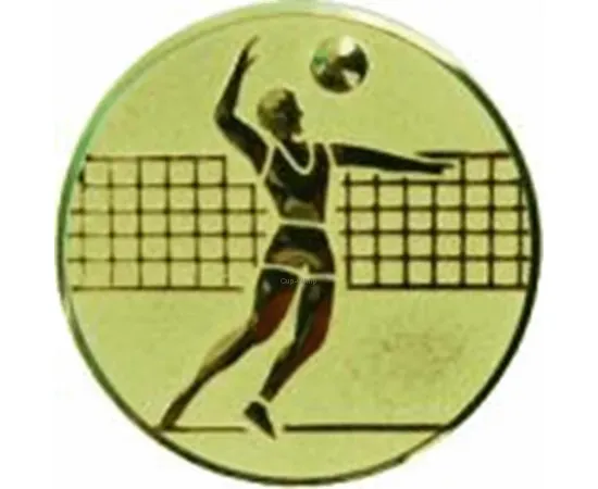 Вкладыш волейбол D1 A6/G в медали спортивные для детей в интернет-магазине kubki-olimp.ru и cup-olimp.ru Фото 0