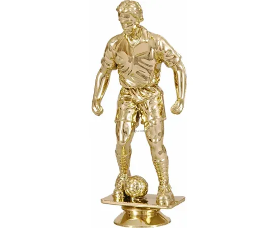 Купить наградные статуэтки в и cup-olimp.ru  футбол F24G в интернет-магазине kubki-olimp.ru и cup-olimp.ru Фото 0