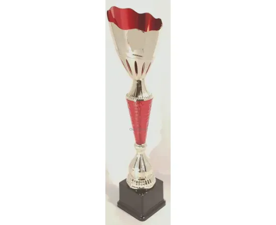 Кубок K781 C, Цвет: золото/красный, Высота кубка, см.: 48, Диаметр чаши, мм.: 120, изображение 2