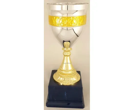 Кубок Ф 5228C (3), Цвет: золото/серебро, Высота кубка, см.: 35, Диаметр чаши, мм.: 140, изображение 2