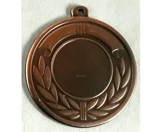 Медаль L111 G, Цвет медали: бронза, Диаметр вкладыша, мм.: 25, Диаметр медали, мм.: 50