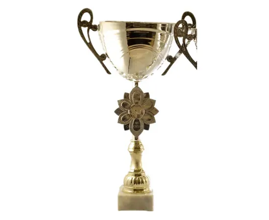 Серебряный спортивный кубок К715, Цвет: серебро, Высота кубка, см.: 29.5, Диаметр чаши, мм.: 100, изображение 2