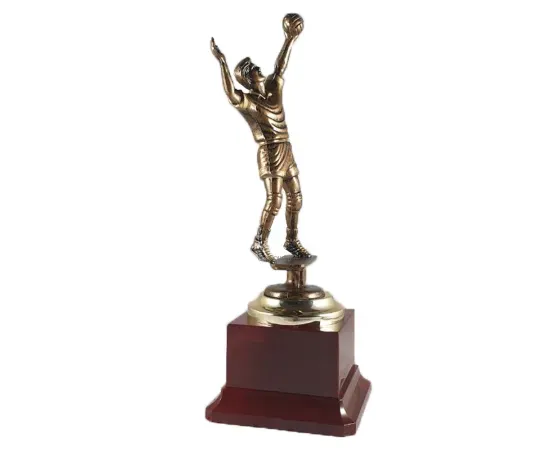 Фигурка волейбол RF2307, Цвет пластиковых статуэток: бронза, Высота статуэтки, см.: 23.5
