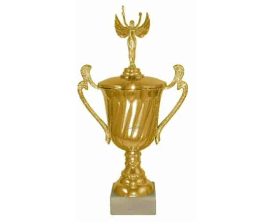 Купить кубок для награждения P141C-G (3) в интернет-магазине kubki-olimp.ru и cup-olimp.ru Фото 1