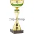 Подарочный кубок с индивидуальной гравировкой ET.045.69.D в интернет-магазине kubki-olimp.ru и cup-olimp.ru Фото 0