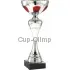 Кубки наградные спортивные ET.065.65.A в интернет-магазине kubki-olimp.ru и cup-olimp.ru Фото 0