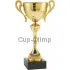 Подарочный кубок MT.042.61 в интернет-магазине kubki-olimp.ru и cup-olimp.ru Фото 0