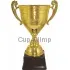 Надпись на кубке победителя соревнований РОССИЯ I (9) в интернет-магазине kubki-olimp.ru и cup-olimp.ru Фото 0