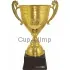 Сувенирные кубки с гравировкой РОССИЯ H (8) в интернет-магазине kubki-olimp.ru и cup-olimp.ru Фото 0