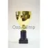 Кубки наградные спортивные CK6004.3 в интернет-магазине kubki-olimp.ru и cup-olimp.ru Фото 0