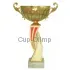 Кубок с гравировкой на заказ и cup-olimp.ru Кубок 7119A (1) в интернет-магазине kubki-olimp.ru и cup-olimp.ru Фото 0