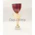 Заказать кубок с надписью в и cup-olimp.ru C7010 RD B недорого в интернет-магазине kubki-olimp.ru и cup-olimp.ru Фото 0