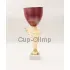 Заказать кубок с надписью в и cup-olimp.ru C7010 RD C недорого в интернет-магазине kubki-olimp.ru и cup-olimp.ru Фото 0